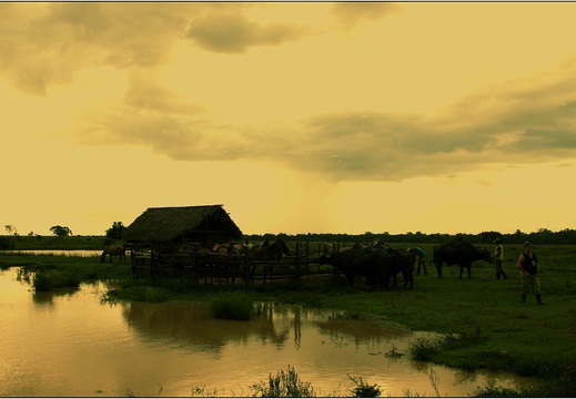 Fazenda Do Carmo #14