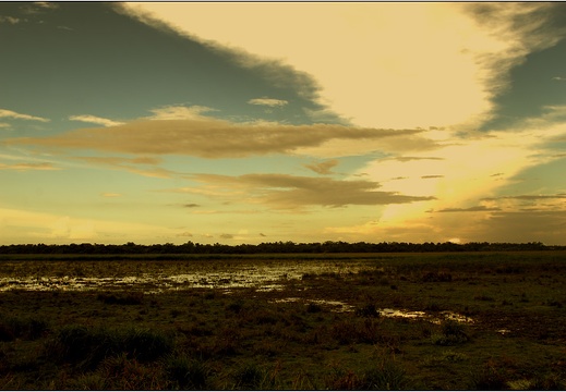 Fazenda Do Carmo #13