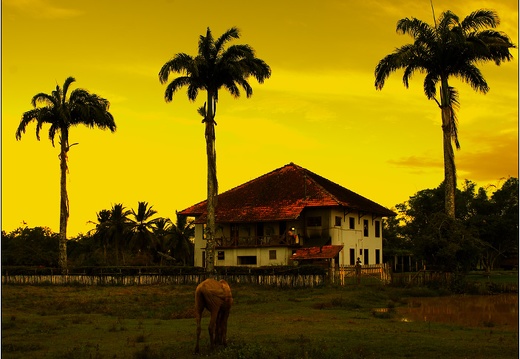 Fazenda Do Carmo #12