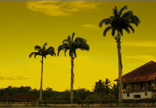 Fazenda Do Carmo #11 (2613 visits) Fazenda Do Carmo #11