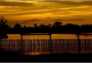 Fazenda Do Carmo #07