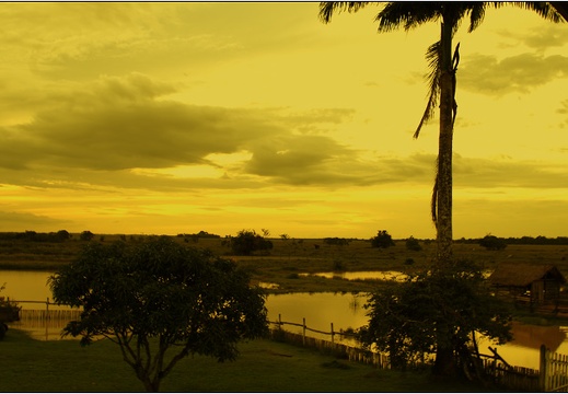 Fazenda Do Carmo #05 (2612 visits) Fazenda Do Carmo #05