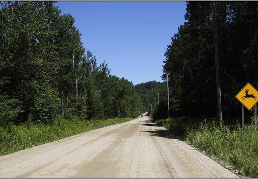 route 315 #01 (5285 visits, rating score 4.98) route 315 #01