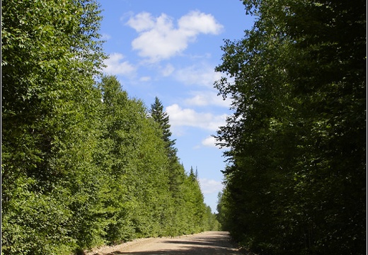 Réserve faunique (6721 visits) Réserve faunique