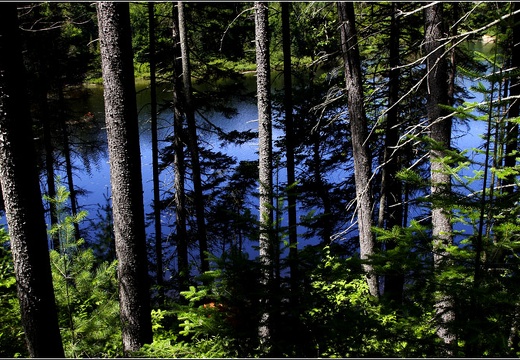 Parc Mont-Tremblant #03 (15196 visits) Parc Mont-Tremblant #03