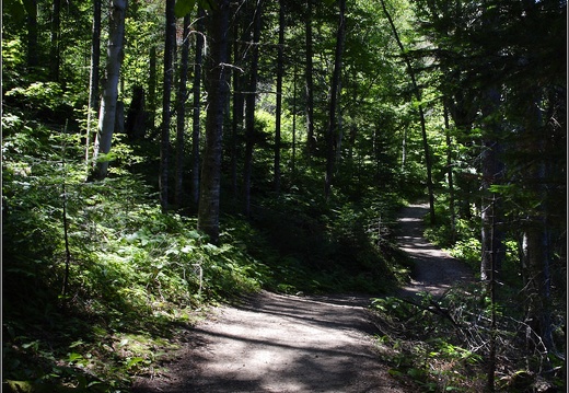 Parc Mont-Tremblant #04 (14862 visits) Parc Mont-Tremblant #04