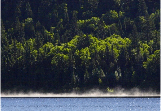 Saint Maurice, lac Tousignant #32