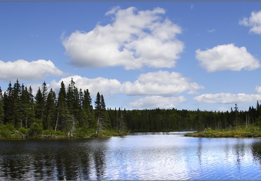 Réserve faunique Port-Daniel, lac de l'île #07