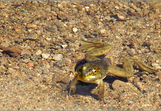 Sur la route #03 (8416 visites) Sur la route #03
