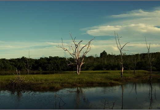 Parcours nature #01