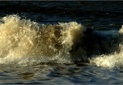 vagues #01