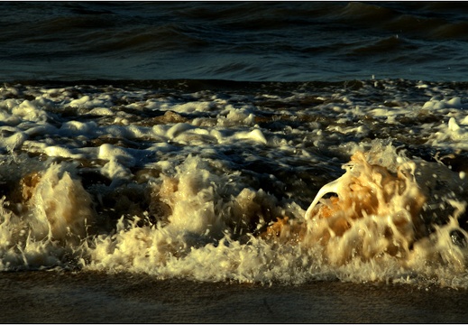 vagues #02 (12760 visits) vagues #02