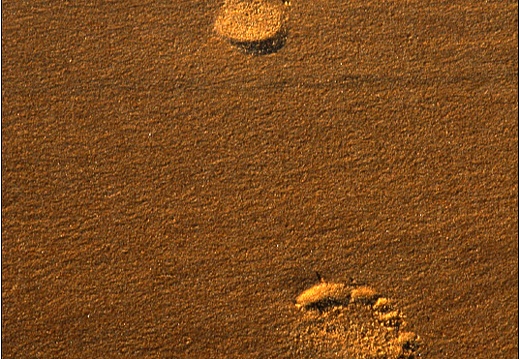 Traces #02 (7527 visits) Traces #02