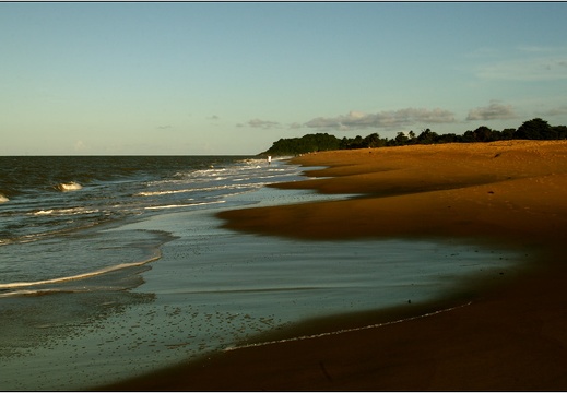 Plage de Montjoly #08 (10708 visits) Plage de Montjoly #08
