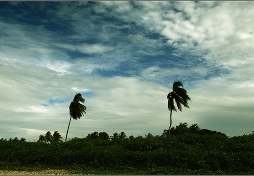 Kourou #05