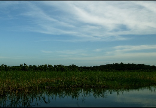 Marais de Kaw #05