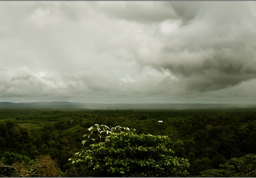 Paysages #01