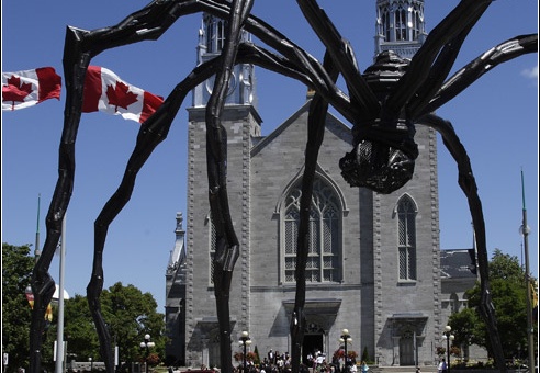 Cathédrale Notre dame #02