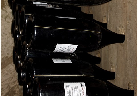 Caves Taittinger #05 (3371 visites) Caves Taittinger #05