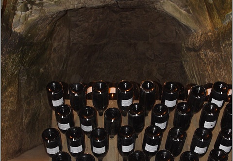 Caves Taittinger #06 (3319 visites) Caves Taittinger #06