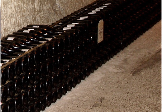 Caves Taittinger #09 (3397 visites) Caves Taittinger #09