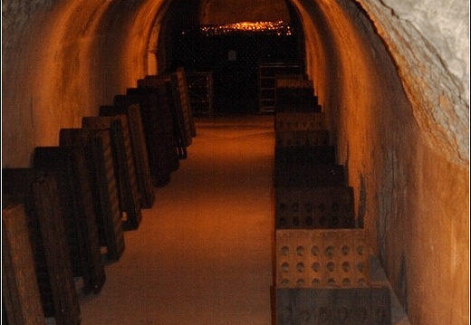 Caves Taittinger #16 (3052 visites) Caves Taittinger #16