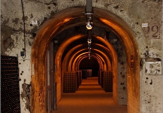 Caves Taittinger #21 (2909 visites) Caves Taittinger #21