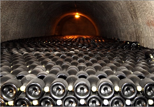 Caves Taittinger #24 (3850 visites, score 6.22) Caves Taittinger #24
