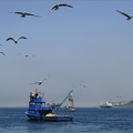 Embouchure de la mer Noire