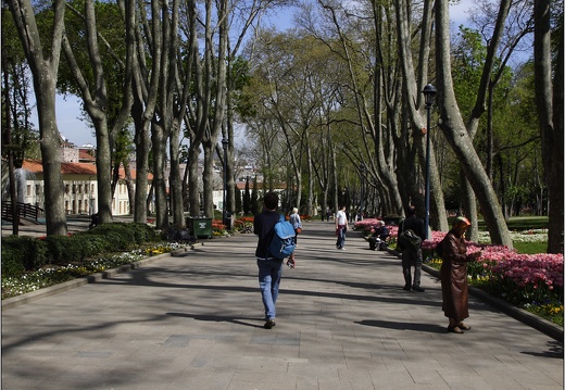 Sultanahmet, parc Gülhane #02 (6301 visits) Sultanahmet, parc Gülhane #02