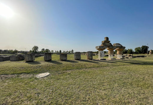 Metaponto, Tempio di Apollo Lykeios #02
