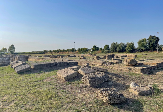 Metaponto, Tempio di Apollo Lykeios #03
