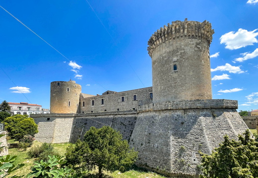 Venosa
