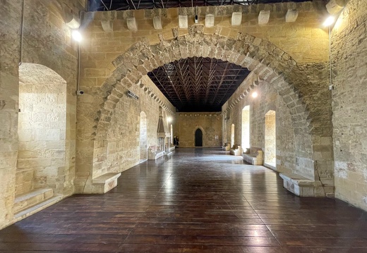 Gioia del Colle, Castello normanno-svevo #10 (55 visits) Gioia del Colle, Castello normanno-svevo #10