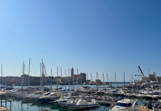 Trani, port #01