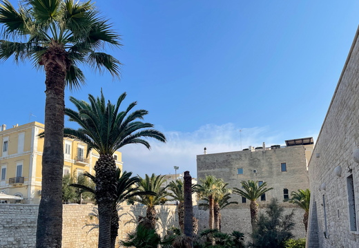 Castello Svevo di Trani #01