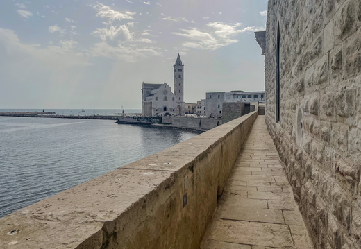 Trani, Basilica Cattedrale Maria Santissima Assunta #09