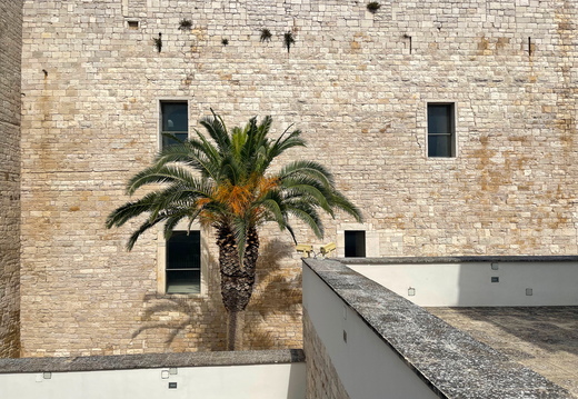 Castello Svevo di Trani #10