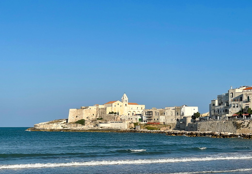 Vieste, Chiesa Rettoria di San Francesco #02