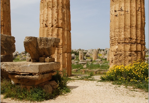 Sélinonte, le temple E #03 (11614 visites) Sélinonte, le temple E #03