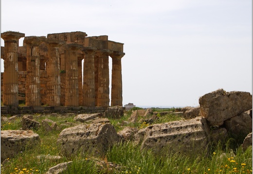Sélinonte, le temple E #04 (11040 visites) Sélinonte, le temple E #04