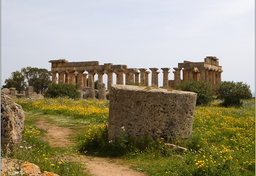 Sélinonte, le temple E #05 (10816 visites) Sélinonte, le temple E #05
