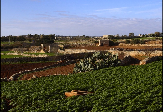 Qrendi #17