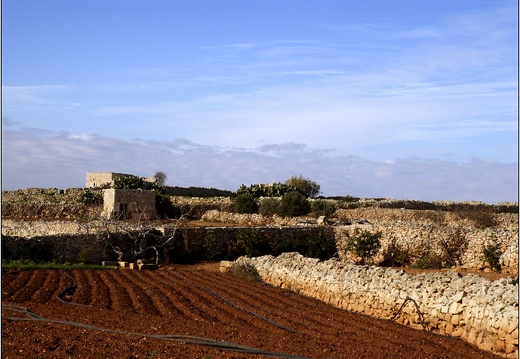 Qrendi #18