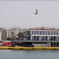 Port du Pirée #10