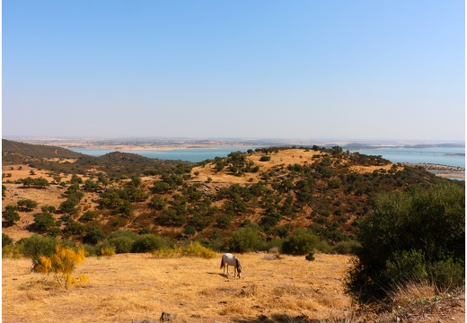Lac alqueva #05 (2323 visits) Lac alqueva #05