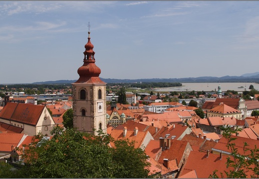 Ptuj, vue du château #12 (10158 visites) Ptuj, vue du château #12