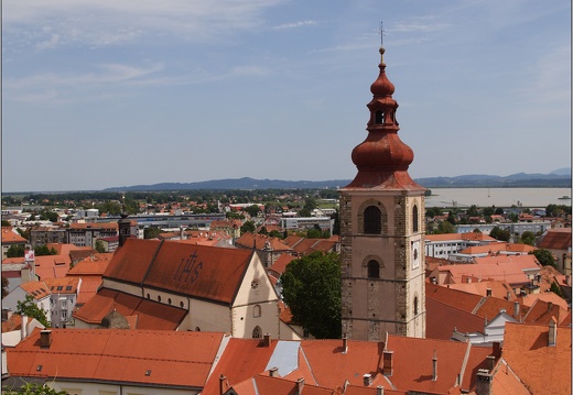 Ptuj, vue du château #14 (9762 visites) Ptuj, vue du château #14
