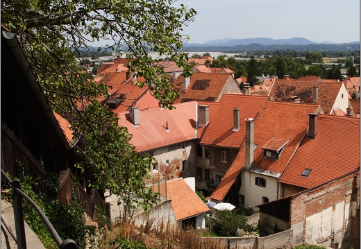 Ptuj, vue du château #16 (5533 visites) Ptuj, vue du château #16