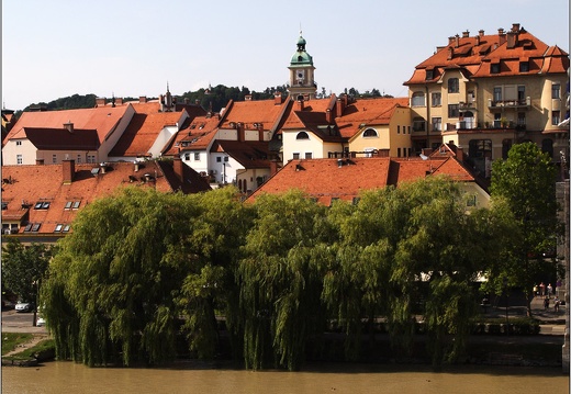 Maribor, rives de la Drave #15 (2605 visits) Maribor, rives de la Drave #15